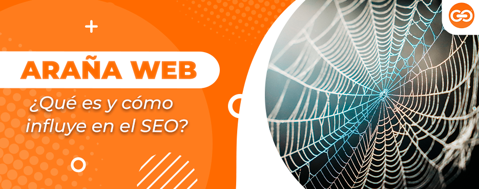 Araña web: qué es y cómo influye en el SEO 